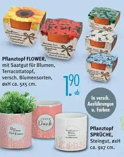 Trends Möbel Pflanztopf flower oder pflanztopf sprüche Angebot