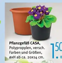 Trends Möbel Pflanzgefäß casa Angebot