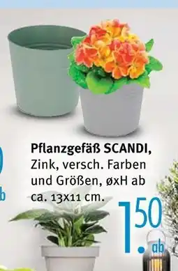 Trends Möbel Pflanzgefäß scandi Angebot