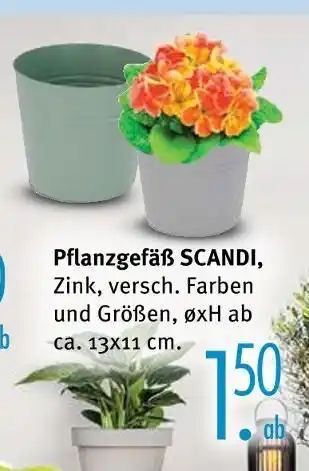 Trends Möbel Pflanzgefäß scandi Angebot