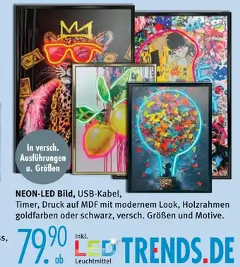 Trends Möbel Neon-led bild Angebot