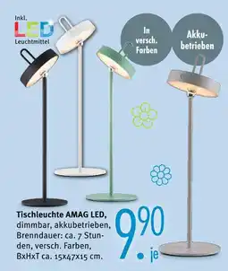 Trends Möbel Tischleuchte amag led Angebot