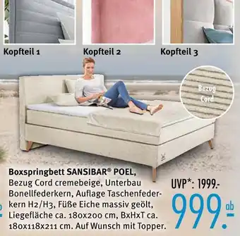 Trends Möbel Sansibar boxspringbett poel Angebot