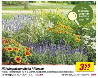 toom Baumarkt Nützlingsfreundliche pflanzen Angebot