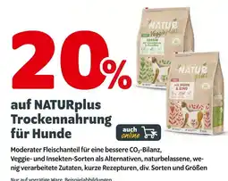 Das Futterhaus Naturplus 2% rabatt auf trockenahrung für hunde Angebot