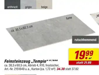 toom Baumarkt Feinsteinzeug tempio Angebot