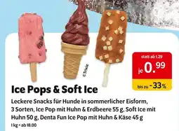 Das Futterhaus Trixie ice pop mit huhn & erdbeere Angebot