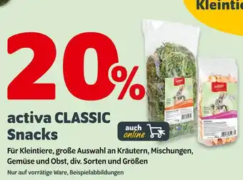 Das Futterhaus Activa classic snacks Angebot