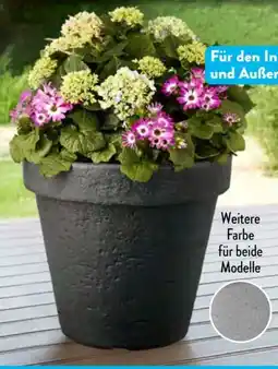 Aldi Süd Belavi Pflanzgefäß Angebot