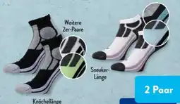 Aldi Süd Crane Damen Sportsocken 2 Paar Angebot