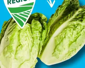 Aldi Süd Bestes aus der Region Salatherzen Mini-Romana Angebot