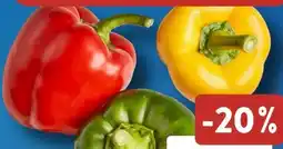 Aldi Süd Paprika Mix Angebot