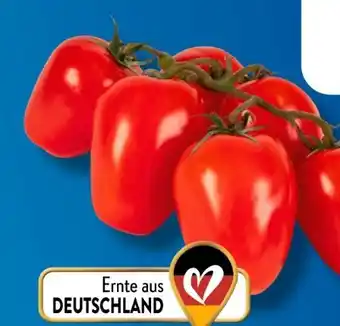 Aldi Süd Roma-Cocktailrispentomaten Angebot