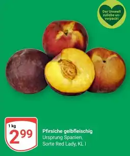Globus Pfirsiche gelbfleischig Angebot