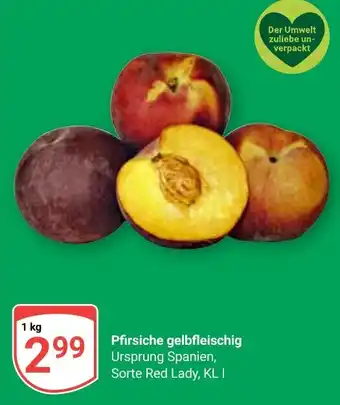 Globus Pfirsiche gelbfleischig Angebot