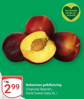 Globus Nektarinen gelbfleischig Angebot