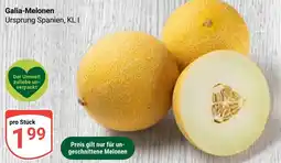 Globus Galia-Melonen Angebot