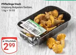 Globus Pfifferlinge frisch Angebot