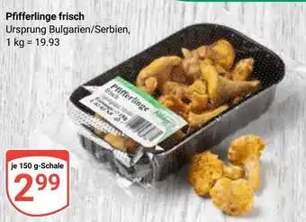 Globus Pfifferlinge frisch Angebot