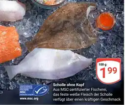 Globus Scholle ohne Kopf Angebot