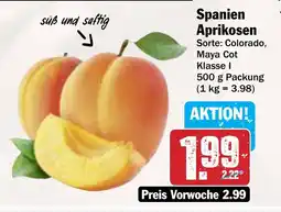 AEZ Spanien Aprikosen Angebot