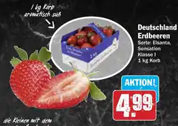 AEZ Deutschland Erdbeeren Angebot