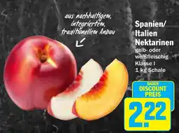 AEZ Spanien/ Italien Nektarinen Angebot