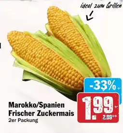 AEZ Marokko/Spanien Frischer Zuckermais Angebot