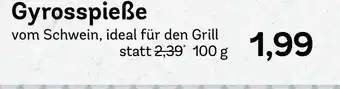 AEZ Gyrosspieße Angebot