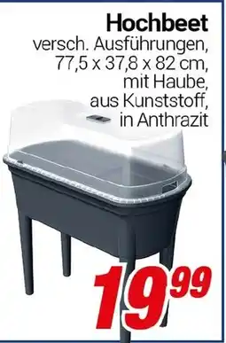 CENTERSHOP Hochbeet Angebot