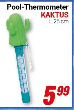 CENTERSHOP Pool-Thermometer KAKTUS Angebot