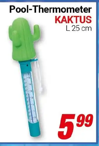 CENTERSHOP Pool-Thermometer KAKTUS Angebot
