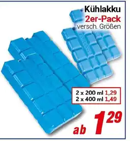 CENTERSHOP Kühlakku 2er-Pack Angebot