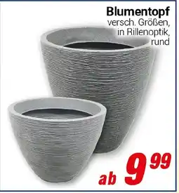 CENTERSHOP Blumentopf Angebot