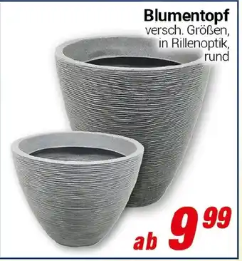 CENTERSHOP Blumentopf Angebot