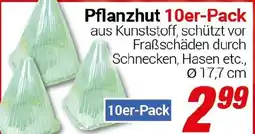 CENTERSHOP Pflanzhut 10er-Pack Angebot
