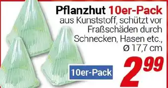CENTERSHOP Pflanzhut 10er-Pack Angebot