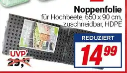 CENTERSHOP Noppenfolie Angebot