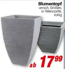 CENTERSHOP Blumentopf Angebot