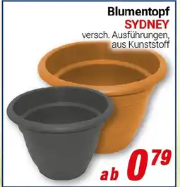 CENTERSHOP Blumentopf SYDNEY Angebot