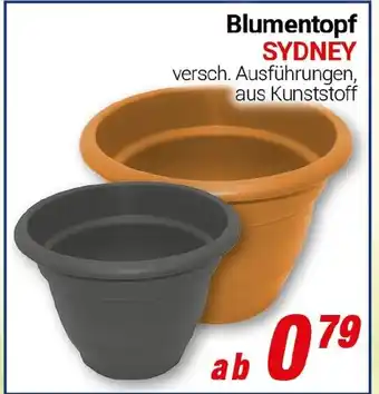 CENTERSHOP Blumentopf SYDNEY Angebot