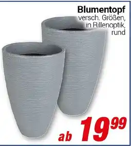 CENTERSHOP Blumentopf Angebot