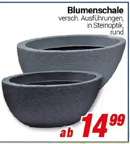 CENTERSHOP Blumenschale Angebot
