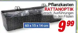 CENTERSHOP Pflanzkasten RATTANOPTIK Angebot