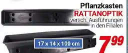 CENTERSHOP Pflanzkasten RATTANOPTIk Angebot