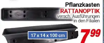 CENTERSHOP Pflanzkasten RATTANOPTIk Angebot