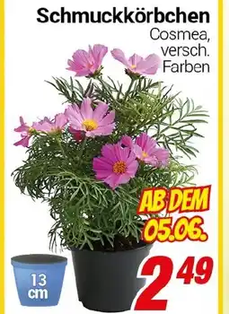 CENTERSHOP Schmuckkörbchen Angebot