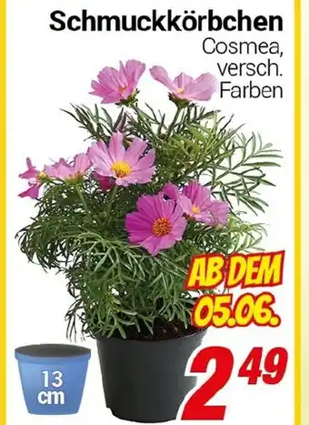 CENTERSHOP Schmuckkörbchen Angebot