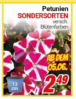 CENTERSHOP Petunien SONDERSORTEN Angebot