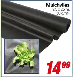 CENTERSHOP Mulchvlies Angebot